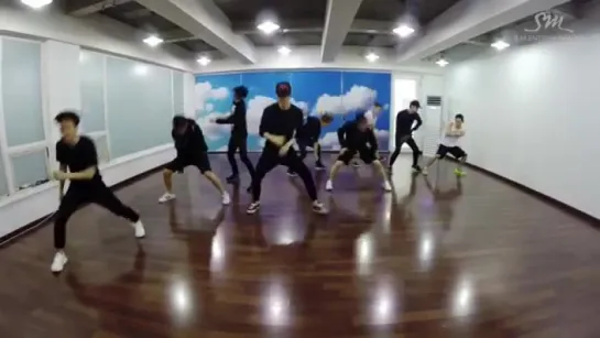 EXO - LOVE ME RIGHT (Dance Practice)