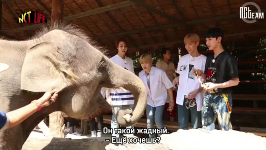 [РУС.СУБ] NCT LIFE in Chiang Mai EP.05