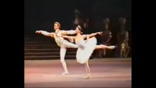 Diana Vishneva Vladimir Malakhov.