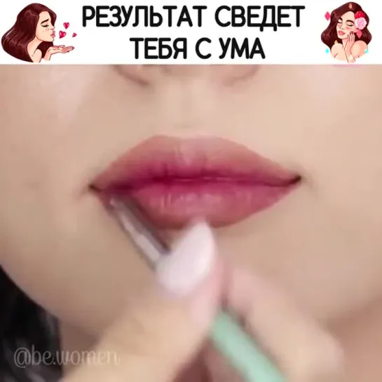 Губки