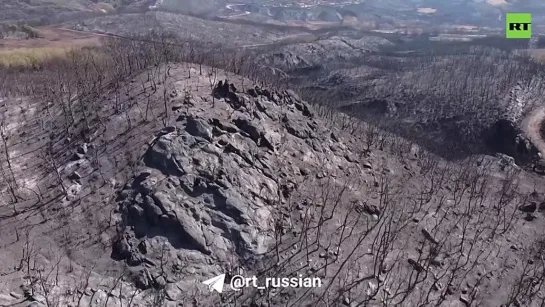 Последствия природного пожара в Эвросе на северо-востоке Греции, снятые с дрона