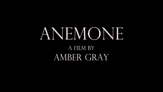 ANEMONE -  Amber Gray