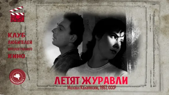 #КИНОЛИКБЕЗ : Летят журавли