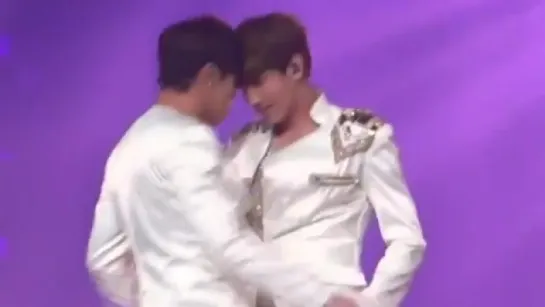 I CANT BELIEVE TVXQ INVENTED SEXUAL TENSION WOW GOOD LORD