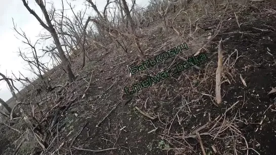 Видео боя от первого лица и пленение солдат ВСУ