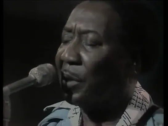 Muddy Waters _ Messin With The Blues - Live Montreux 1974.[2007]