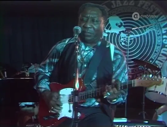 Muddy Waters Blues Band - Live At The North Sea Jazz Festival 1979