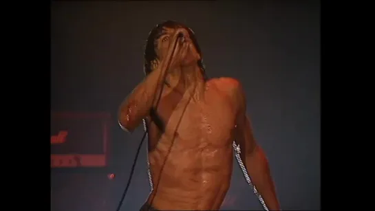 Iggy Pop - Search and Destroy - Live in Paris ( Kiss My Blood ) 60FPS