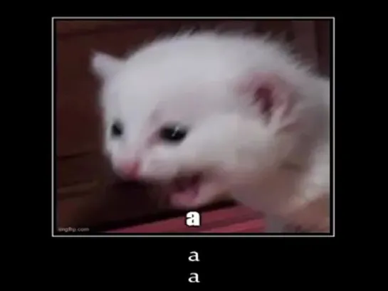 a