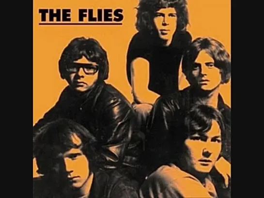 The Flies - Im Not Your Stepping Stone