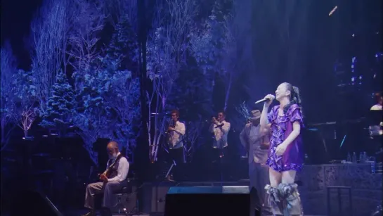 DREAMS COME TRUE 「プライドなんて知らない」I Don’t Know Pride. WINTER FANTASIA 2008  Live Ver.