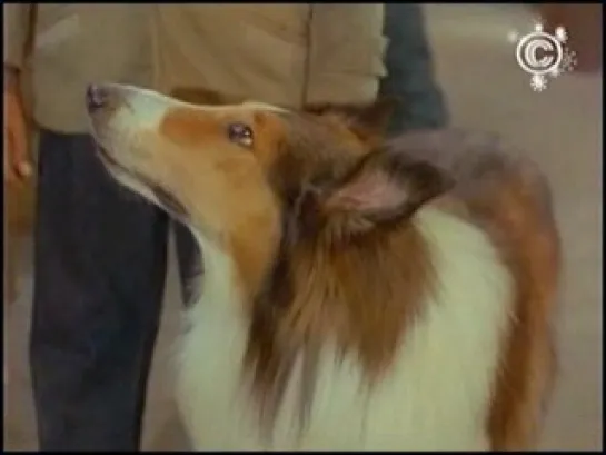 1.Prikluchenija.Lassie.i.Niki.1968.DivX.TVRip