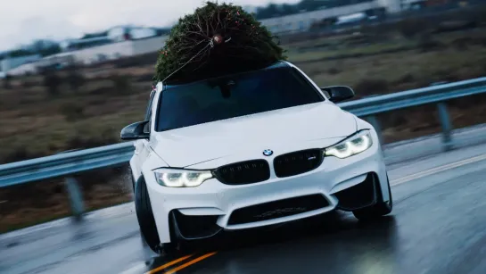 White Christmas F80