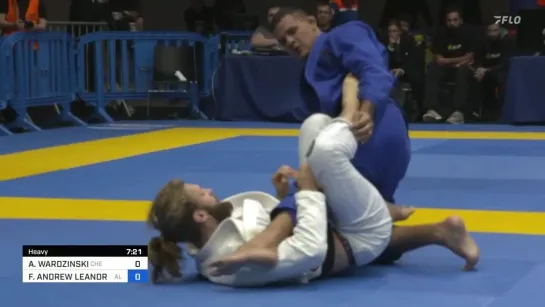 FIN HEAVYWEIGHT - Fellipe Andrew vs Adam Wardzinski #ibjjfeuro2023