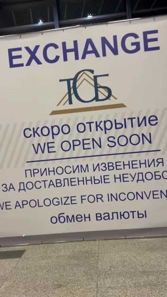 Диана Арбенина назвала «стыдобой» ошибку в аэропорту «Внуково»