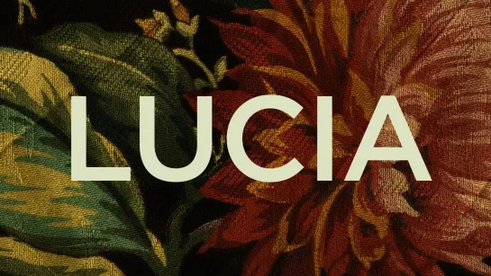 Lucía (2010) dir. Niles Atallah