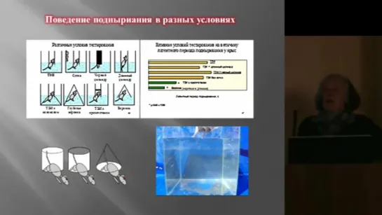 Тест «экстраполяционное избавление» ТЭИ история создания и применения - Нина Бондаренко