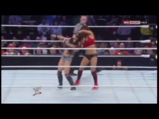 AJ Lee vs. Nikki Bella