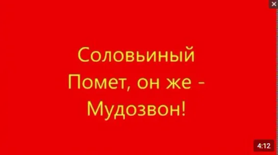 Подали в суд на Соловьёва - Адвокат Валентина Шлякова Рафаэль Усманов.