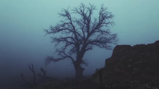 Stories of Destroyed Cities: Şhengal / Rojava: Çîroka Bajarên Wêranbûyî: Singal (Syria, 2018) dir. Sêro Hindê