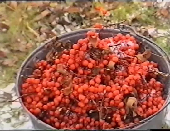 Первый снег / The First Snow (2004) реж. Надежда Носкова Nadezhda Noskova