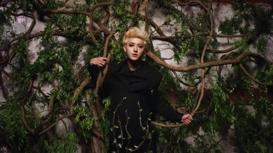 |MV| ZTAO - Black White (AB)