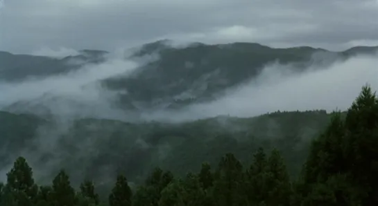 The Mourning Forest (殯の森 | Mogari No Mori), Naomi Kawase, 2007