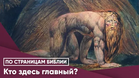 Кто здесь главный?