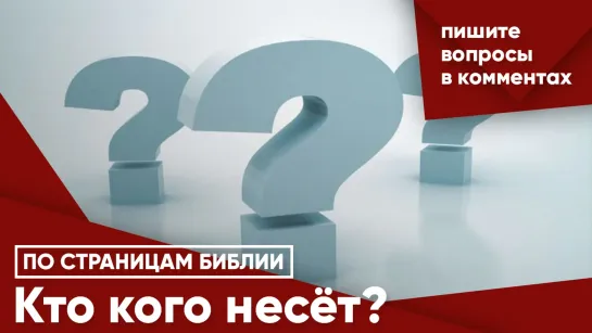 Кто кого несёт?