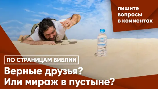 Верные друзья? Или мираж в пустыне?