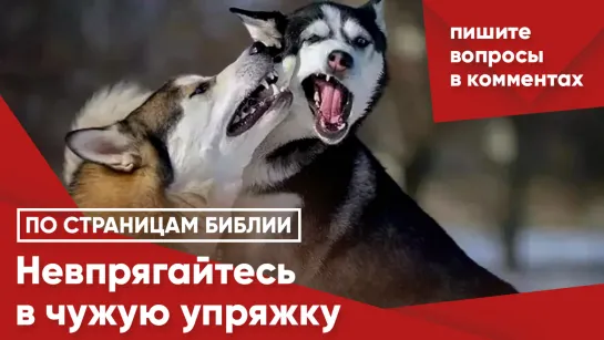 Не впрягайтесь в чужую упряжку