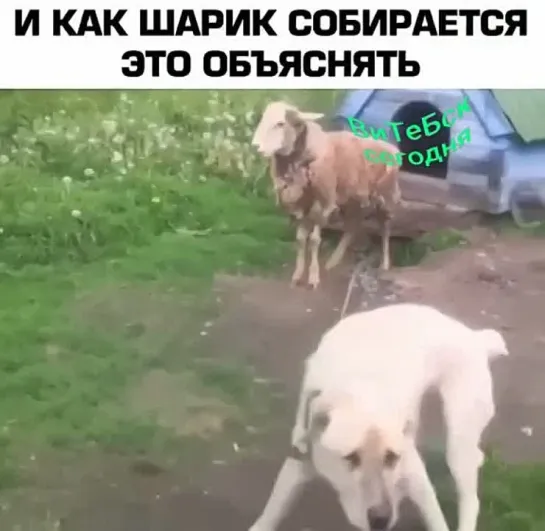 И чем вы там занимались!?😳