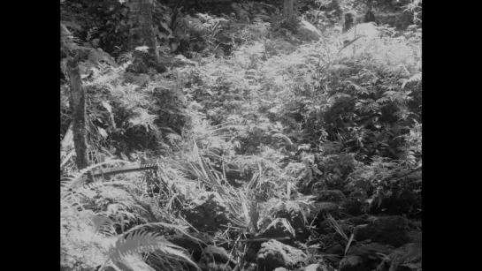 'Hele sa hiwagang hapis' / 'Lullaby to the Sorrowful Mystery' [Lav Diaz, 2016; part 2 of 2, eng & ger sub]