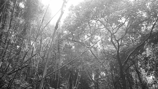 Lav Diaz - Prologo sa ang dakilang desaparacido / Prologue To The Great Desaparecido (2013) Language: Filipino