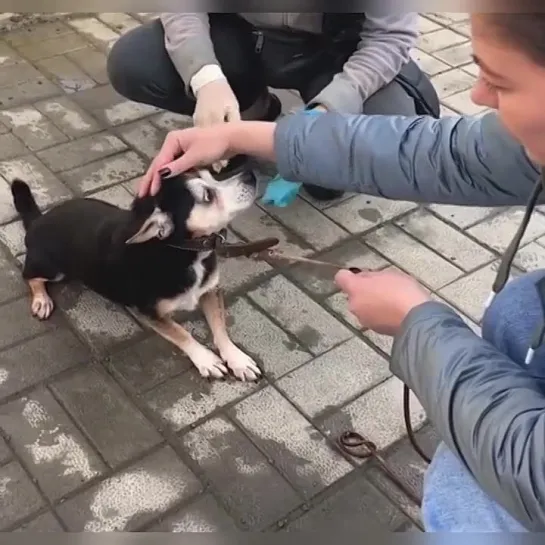 Не верит своему счастью...