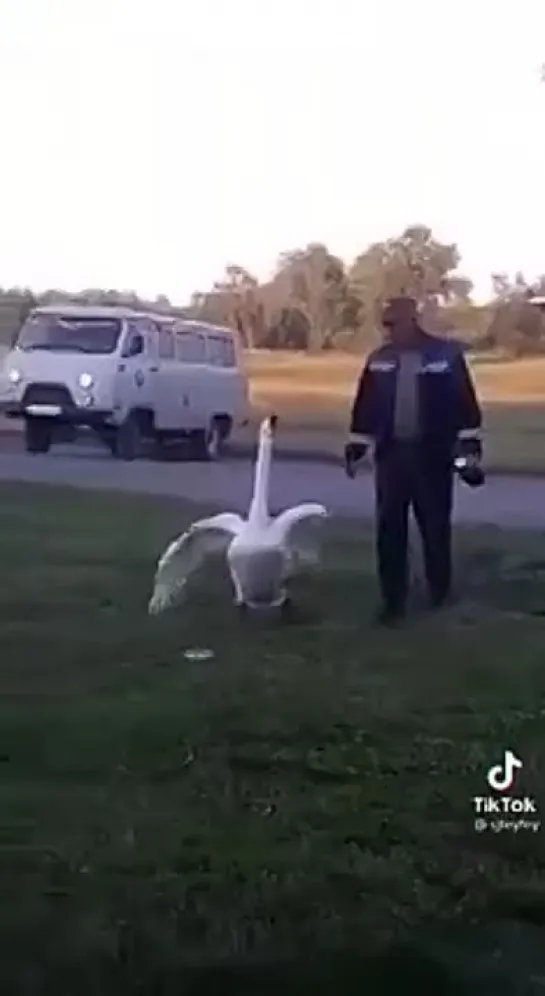 Видео от Записки домашних хитростей)