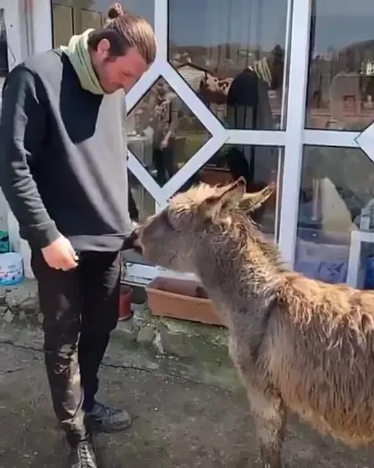 Видео от Кыванч Татлытуг и Ойку Караель.