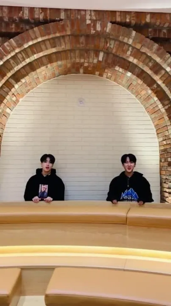 [210414] Stray Kids » TikTok (@.Sponsored Content) »