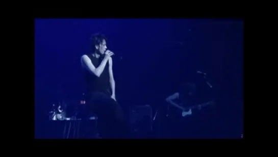 Atsushi Sakurai Neko Live