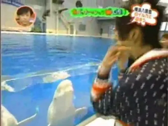 Dolphins can headban with Miyavi x3