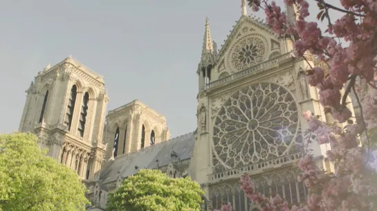 Secrets of the Dead: Season 19, Episode 3 “Building Notre Dame” (PBS 2020 US)(ENG/SUB ENG)