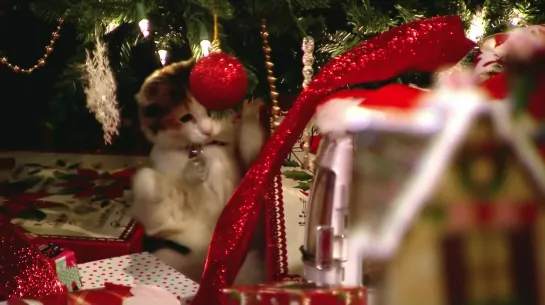 A Kitten Christmas (Hallmark Channel 2019 US)(ENG)