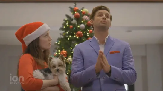 12 Pups of Christmas  (ION TV 2019 US) (ENG)