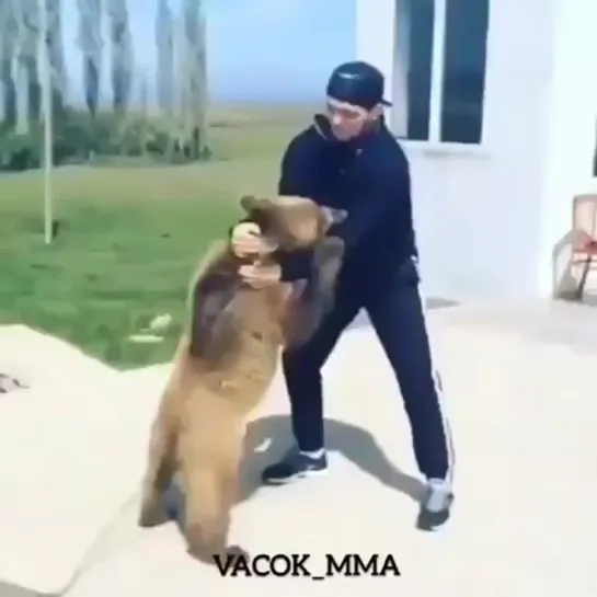 Орёл и Медведь 🐻