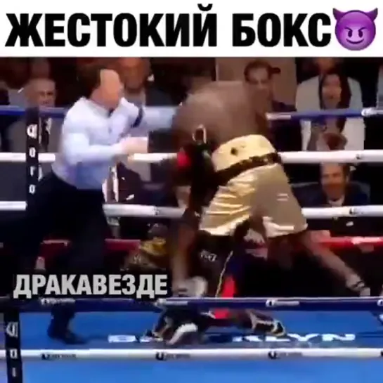 Жестокий бокс