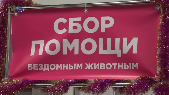 Благотворительная акция по сбору помощи бездомным животным  2023 Петрозаводск Карелия