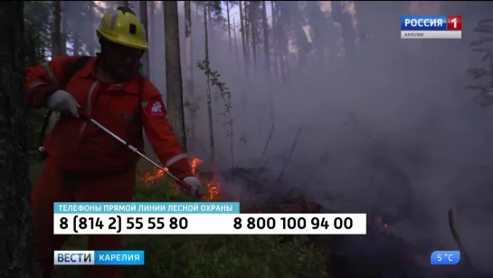 Приказ о начале пожароопасного сезона на юге Карелии 2019