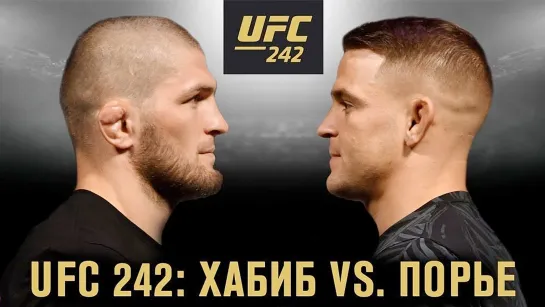 UFC 242: ХАБИБ - ПОРЬЕ 2019