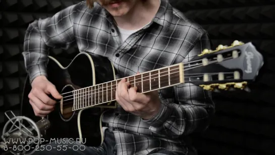 Электроакустика IBANEZ AEG10NII