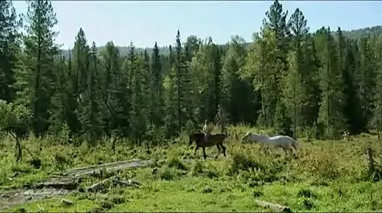 Затерянные в тайге. Староверы